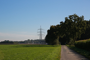 Grafische Darstellung