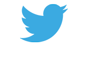 Twitter-Logo: Ein blauer Vogel Twitter-Logo: Ein blauer Vogel